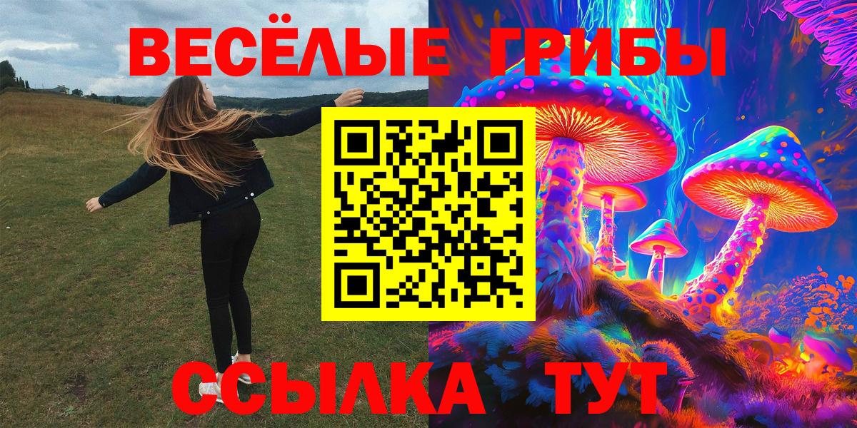 Галлюциногенные грибы Psilocybe Феодосия